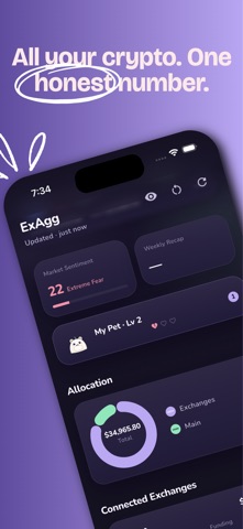 ExAgg - Crypto Portfolio iPhone screenshot