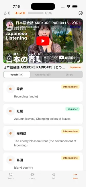 BreakLingo screenshot 1