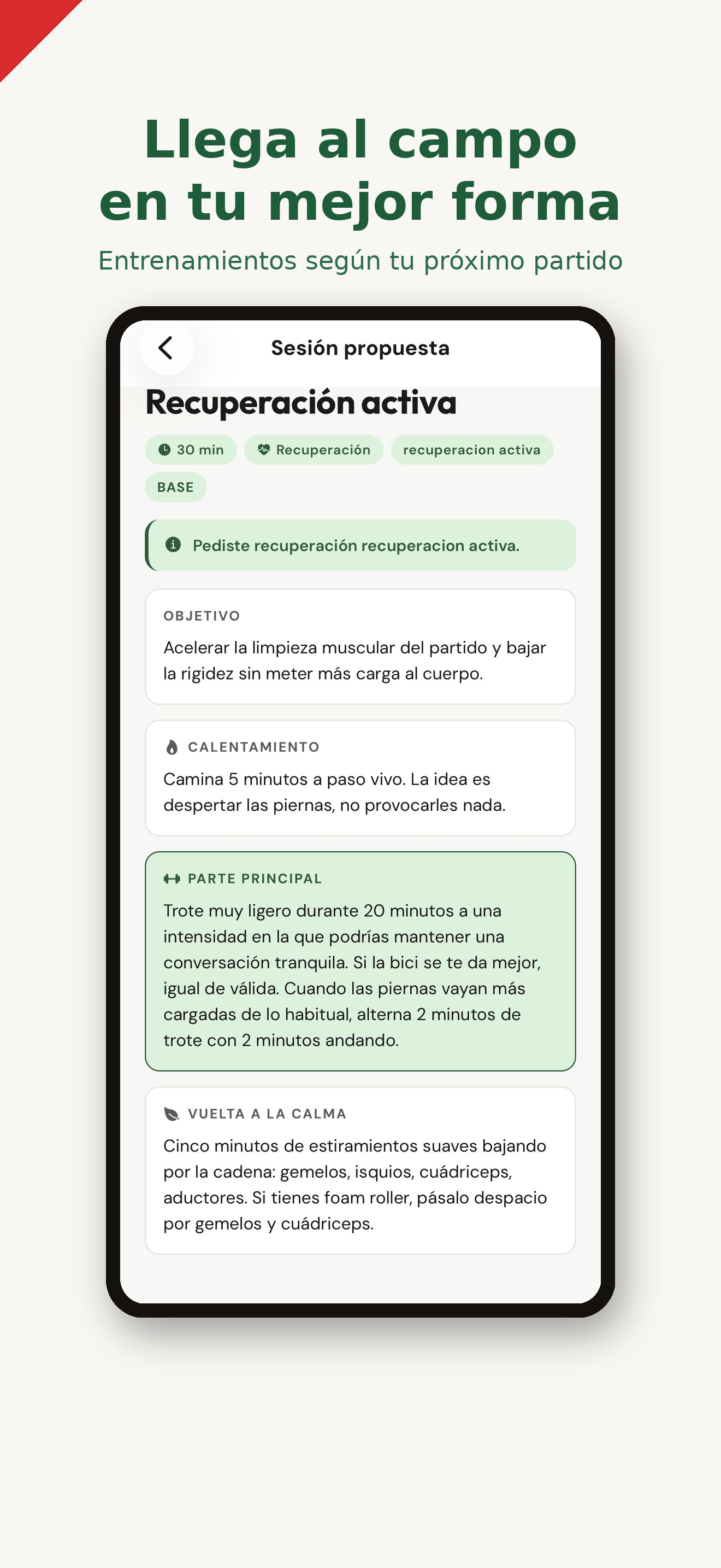 FiveRef: Football Referees