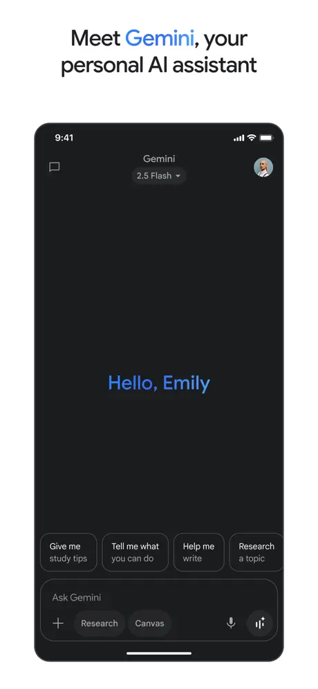 Google Gemini screenshot 1