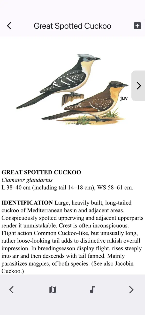 Screenshot #1 pour Birds of Western Palearctic