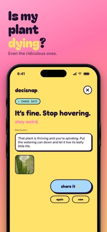 Decisnap – Decide Anything Screenshot 6 of 8