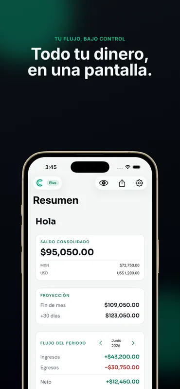 Caudara: Flujo de efectivo screenshot 1 of 7