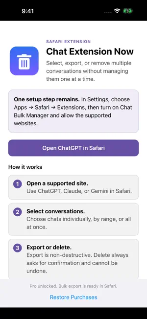 Chat Extension Now screenshot 2