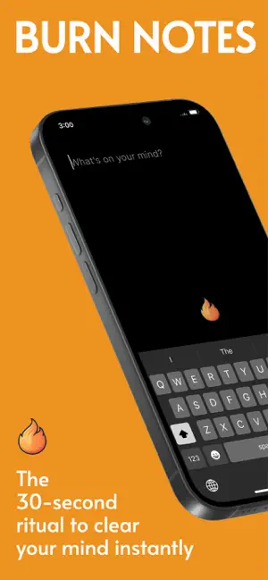 Burn Notes screenshot 1