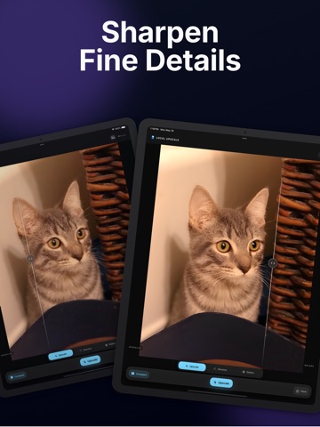 Local Photo Upscaler screenshot 7