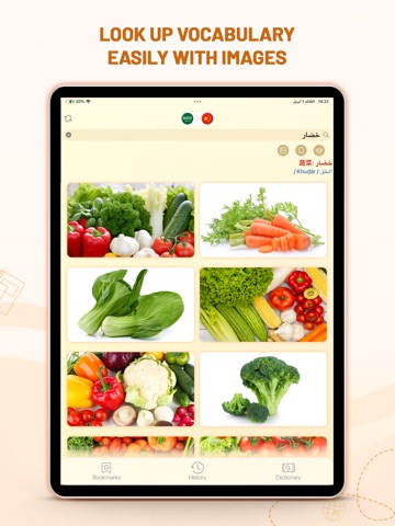 Charab Dict: Chinese Arabic ipad screenshot 4