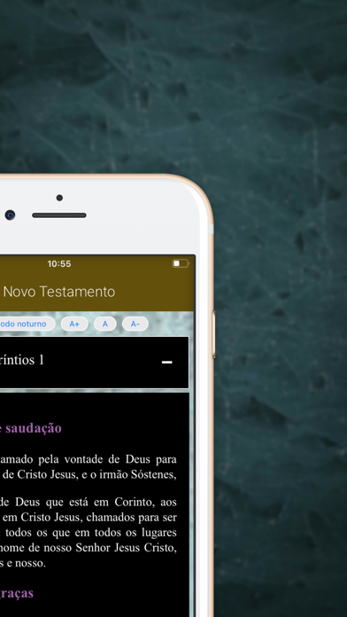 Bíblia Nova Almeida Atualizada Screenshot