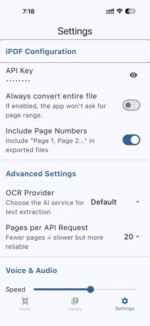 i PDf accessible screenshot 2