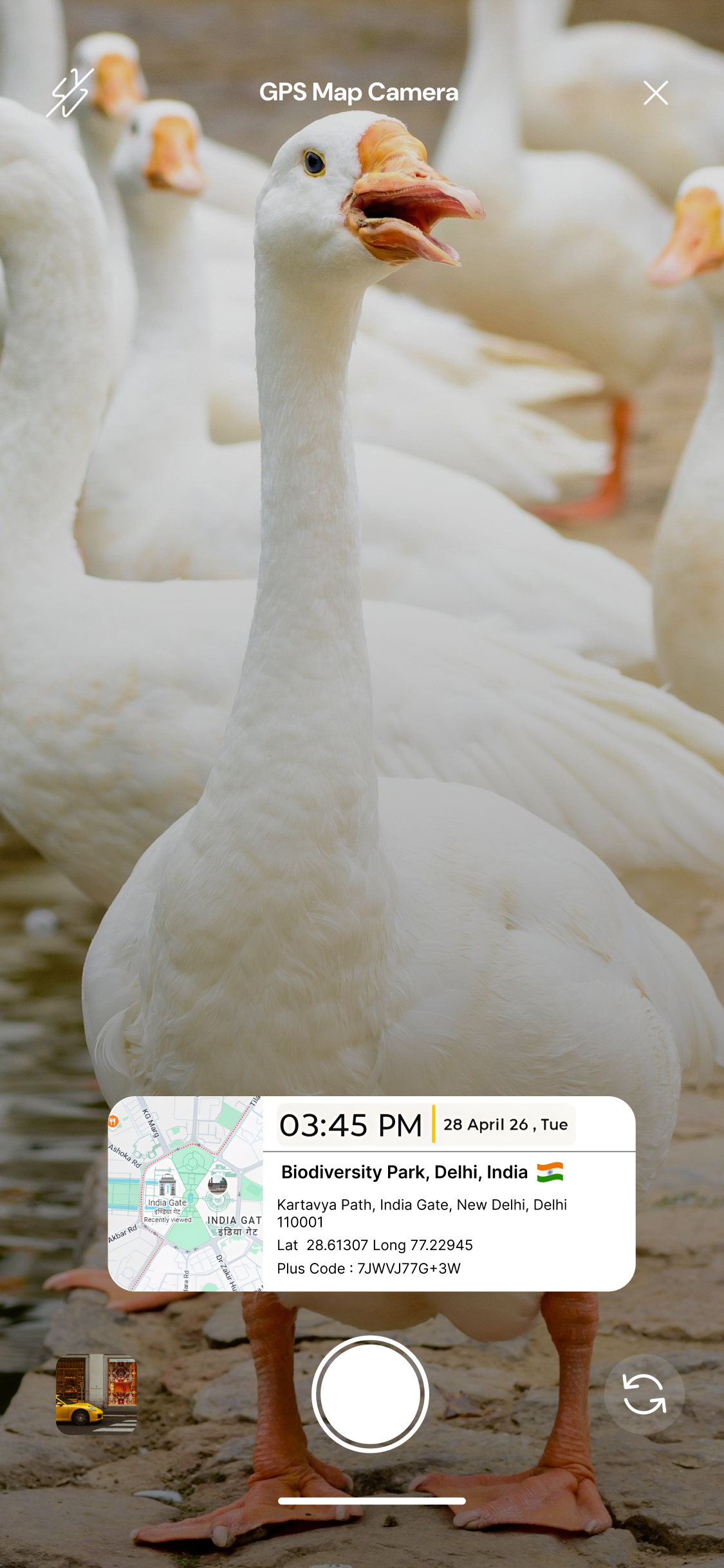 gps online photo screenshot 3