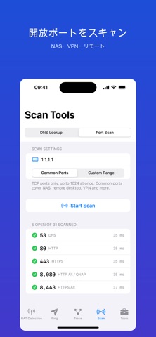 TinyNetTool NATタイプ判定 のスクリーンショット