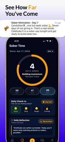 Sober Motivation Quit Drinking Screenshot 2 of 10