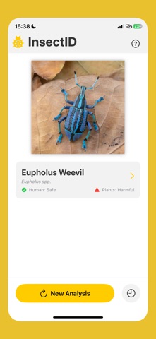 InsectID Insect Identifier AI Screenshot 1 of 4