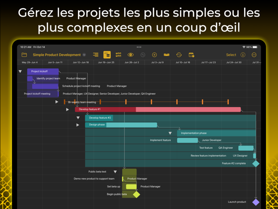 Screenshot #4 pour OmniPlan 4 Enterprise