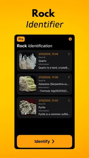 Rock Scanner: Stone Identifier screenshot 2
