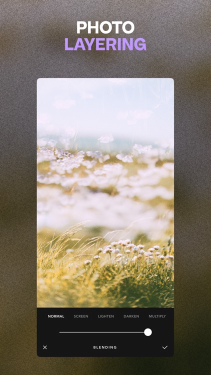 Afterlight: Film Photo Editor screenshot-5