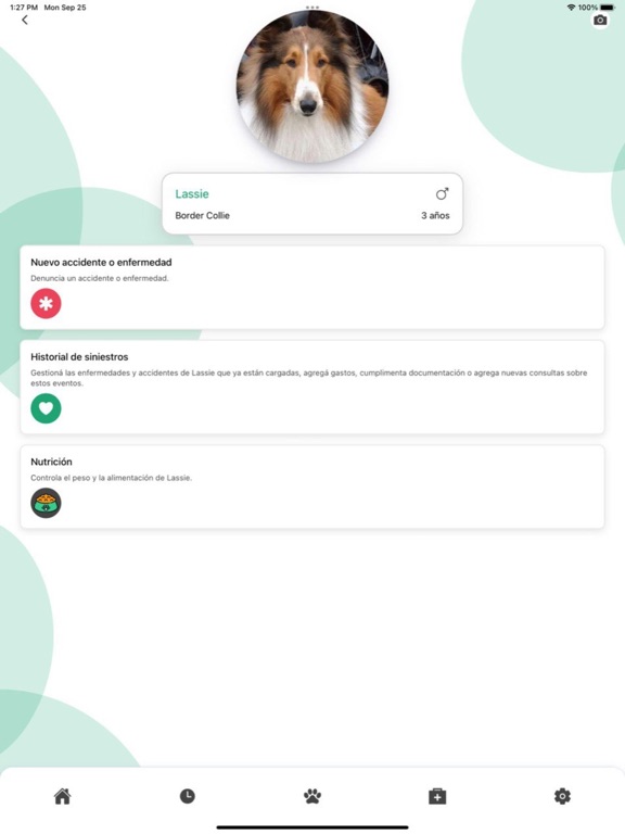 Screenshot #4 pour FielPet