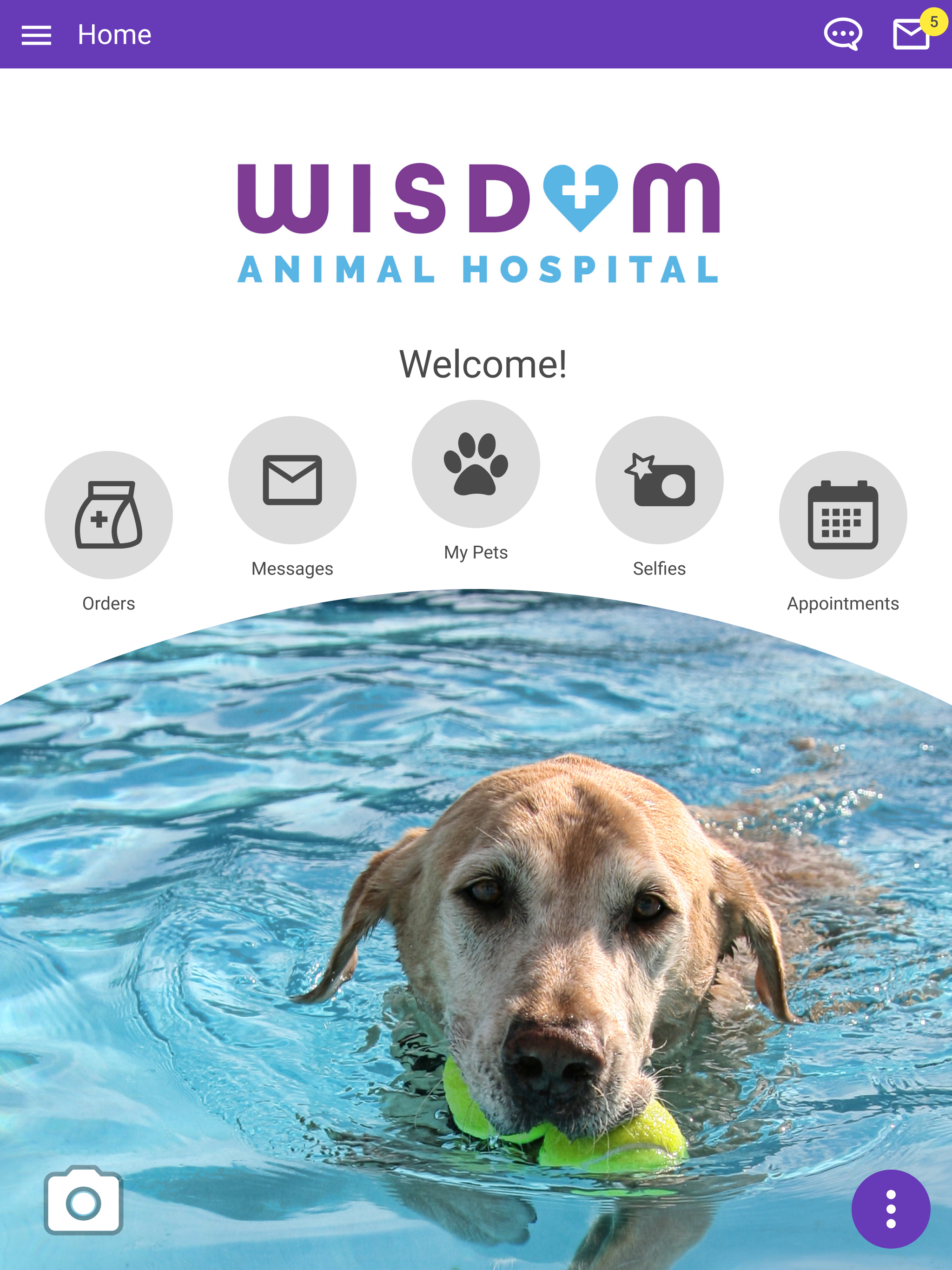 Wisdom Animal Hospital