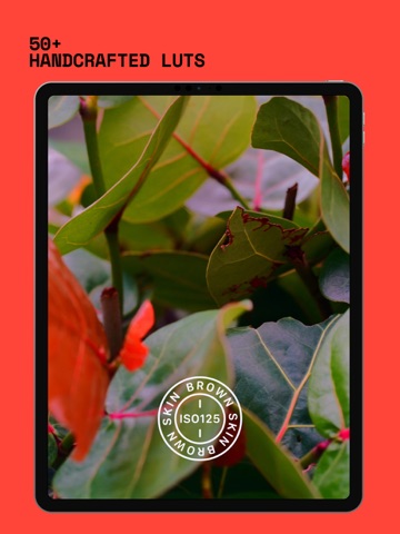 ISO125: Cinematic Film Camera iPad screenshot