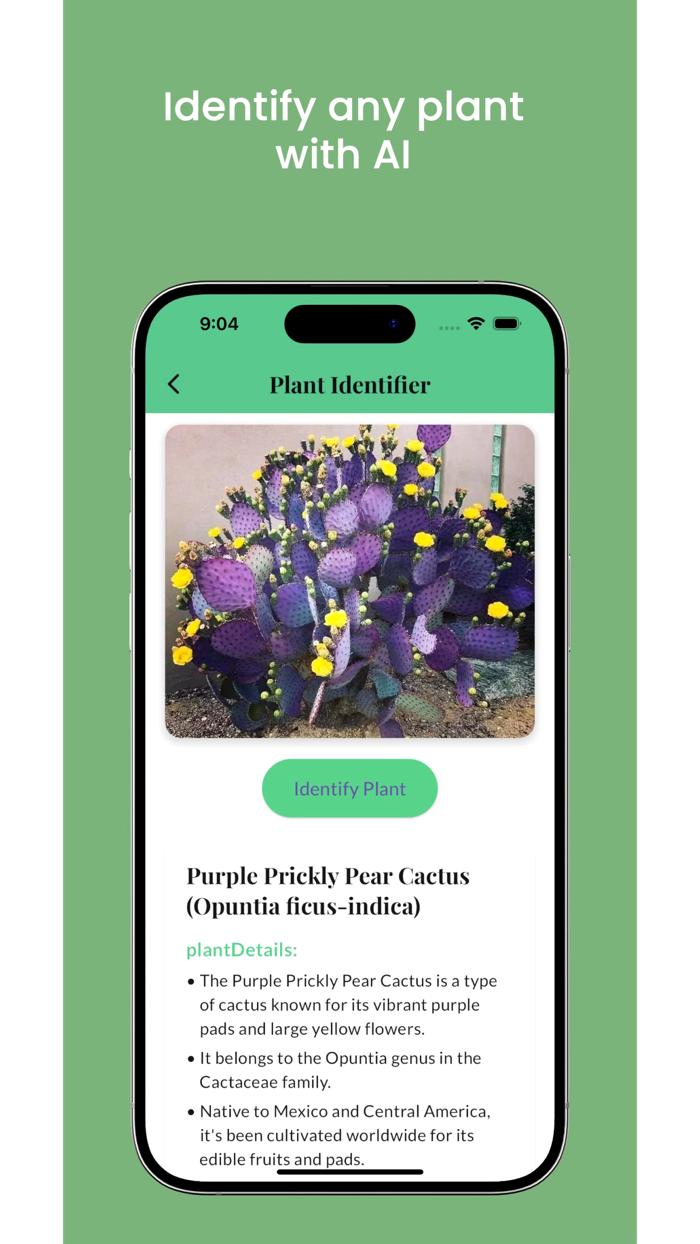 Plant identifier scanner