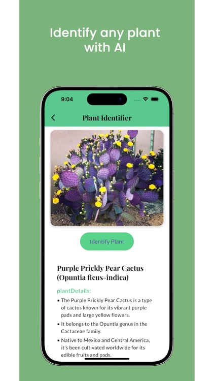 Plant identifier scanner