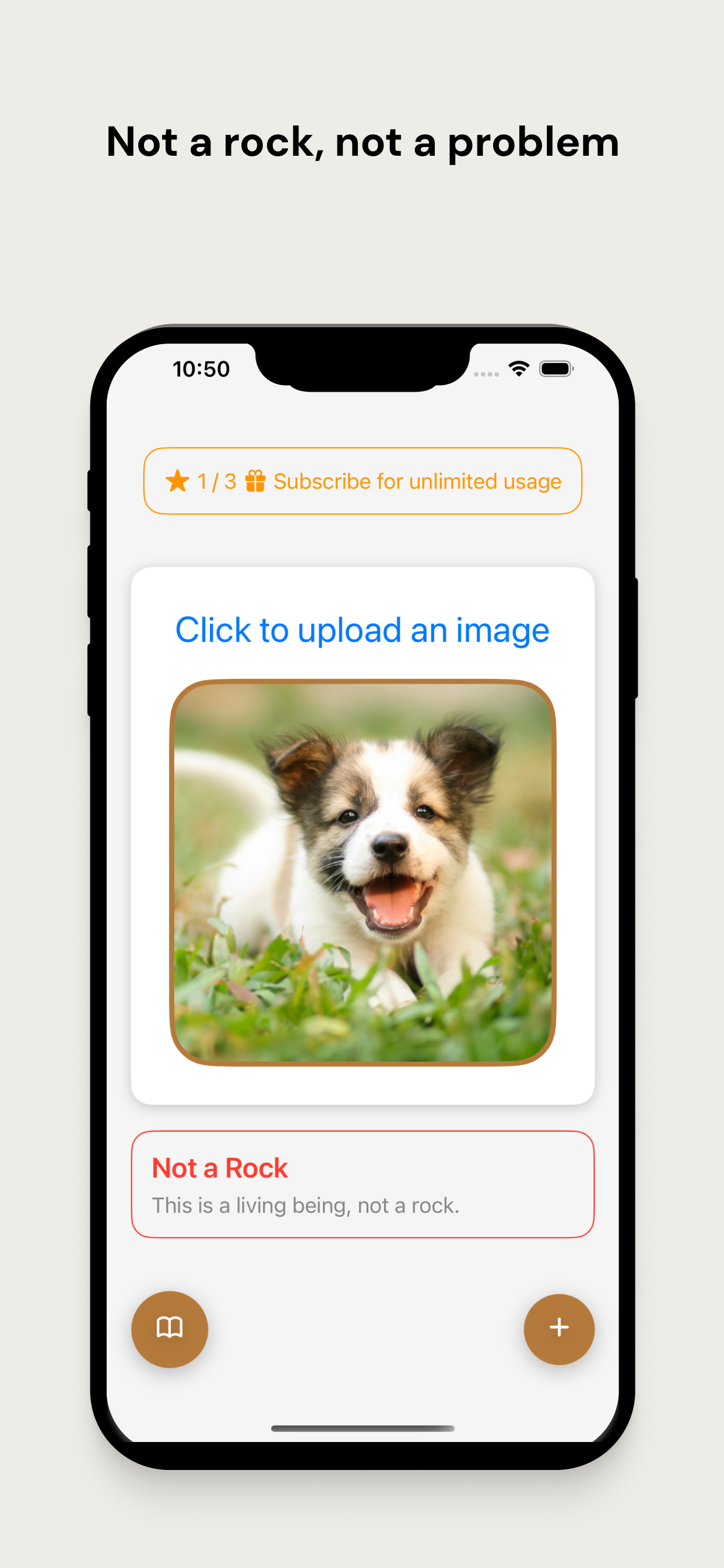 Rock Identifier: Ai Powered
