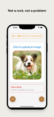 Rock Identifier: Ai Powered Screenshot 3 of 3
