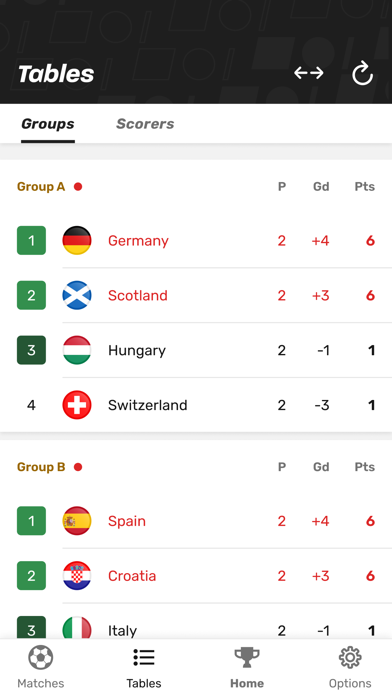 European Championship App 2024 Screenshot