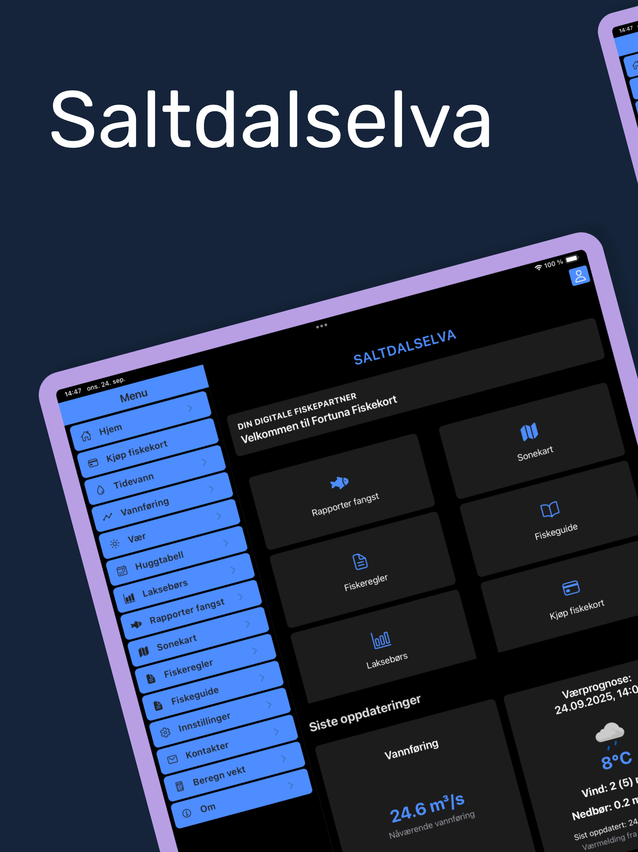 Saltdalselva