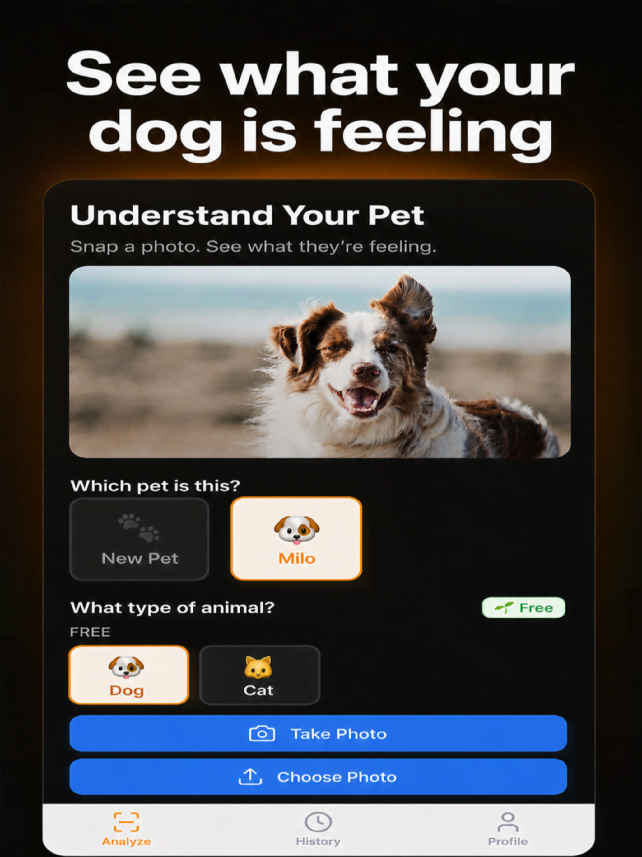 PetsenseAI - Pet Mood Tracker screenshot 6