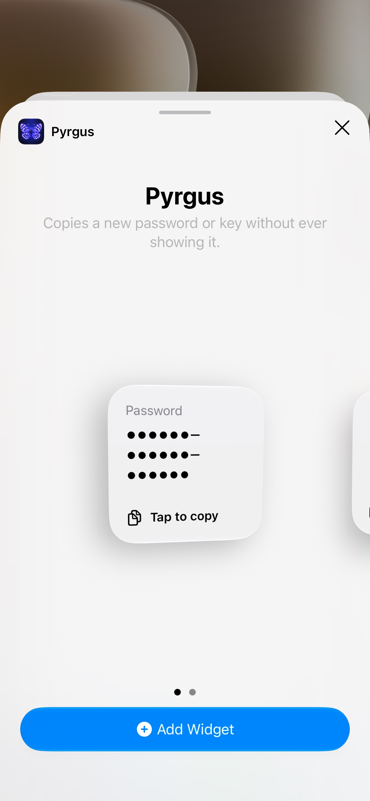 Screenshot 4 of Pyrgus: Password Generator