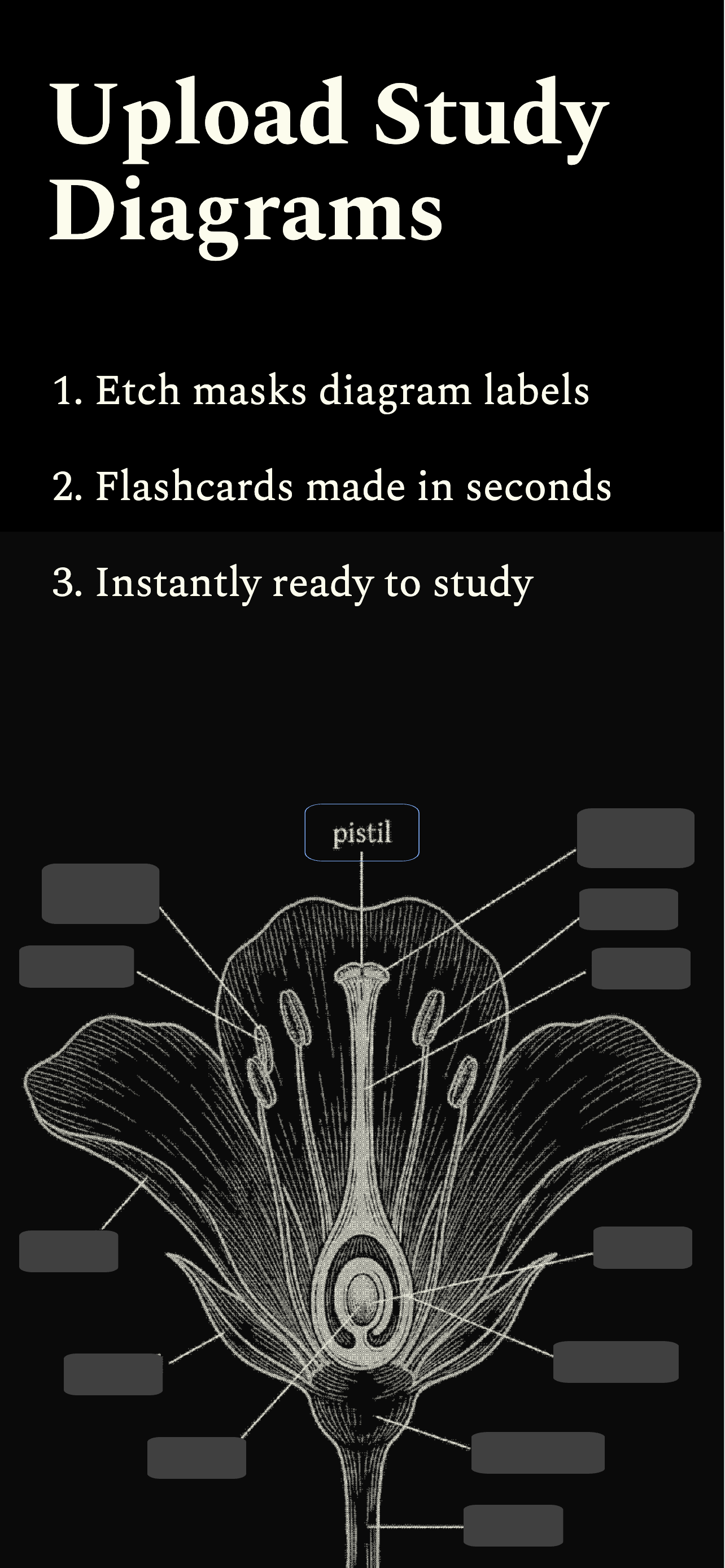 EtchNote - Study Smarter