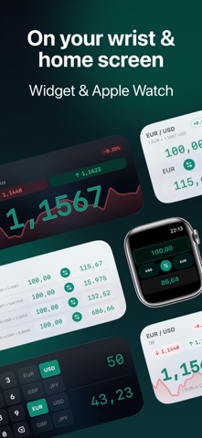 Swapwise: Currency Converter Screenshot 5 of 6