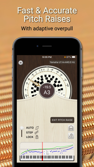 PianoMeter – Piano Tuner Screenshot
