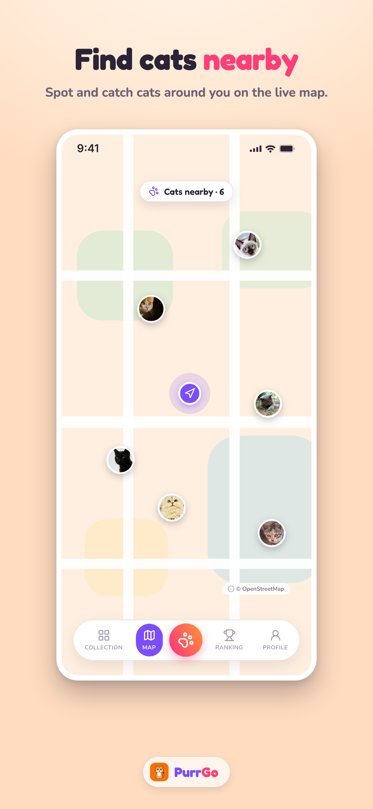 PurrGo: Catch Cat to Flex screenshot 5