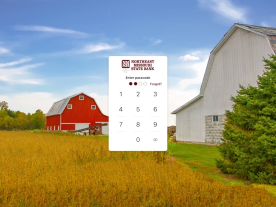 NMSB Mobile iPad screenshot 2 - Finance app