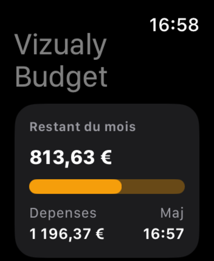 Vizualy Budget screenshot 21