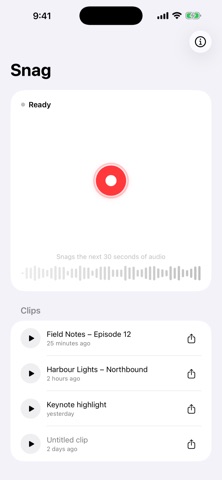 Snag - Quick Audio Capture screenshot 3
