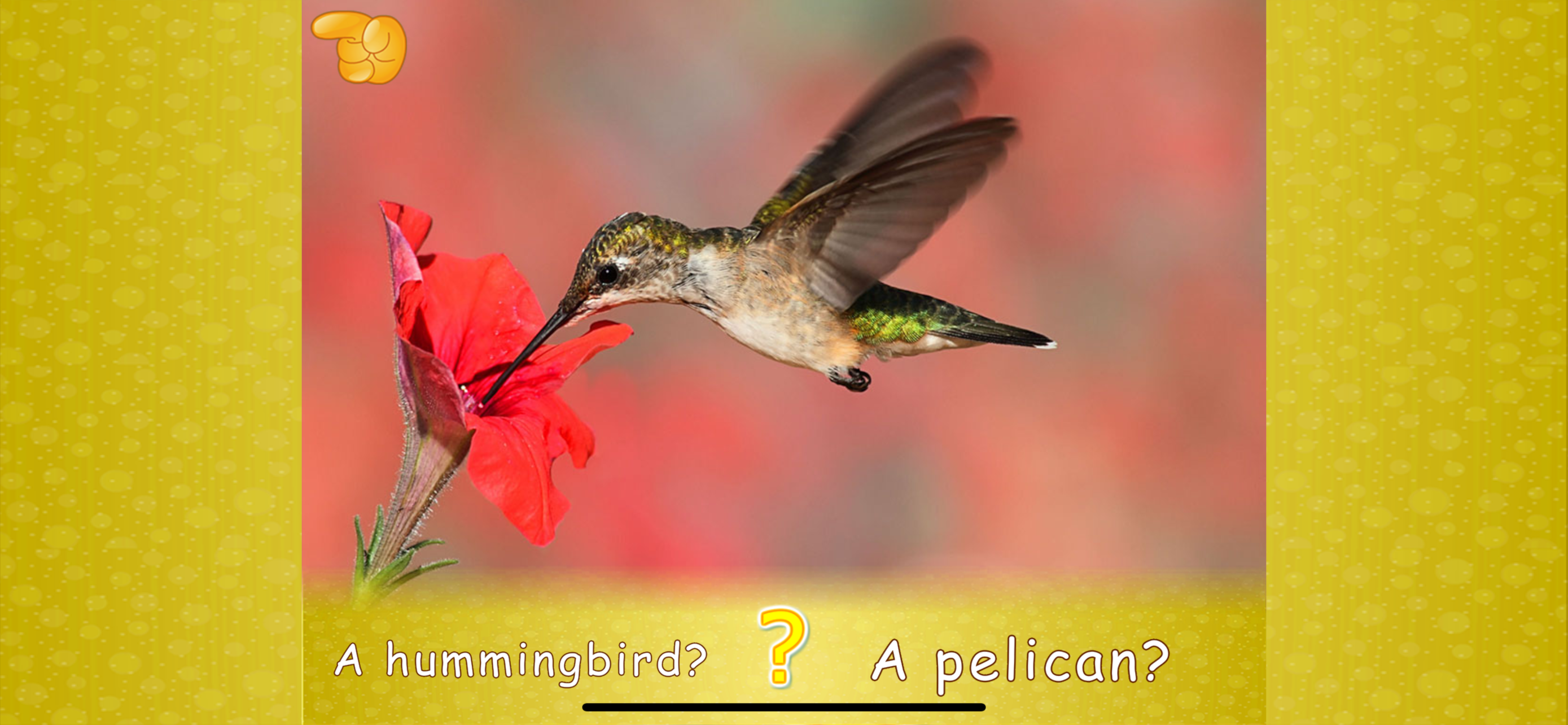 Animal picture games for kids. screenshot 4