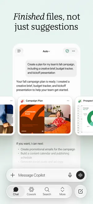 Microsoft Copilot screenshot 3