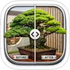 Bonsai AI: Garden Design Dream app icon