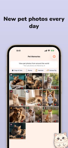 Pawlog: Dog & Cat Diary Screenshot 4 of 10