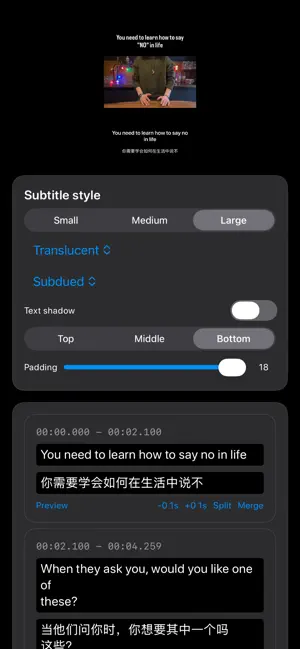SubStamp –Transcribe&Translate screenshot 2
