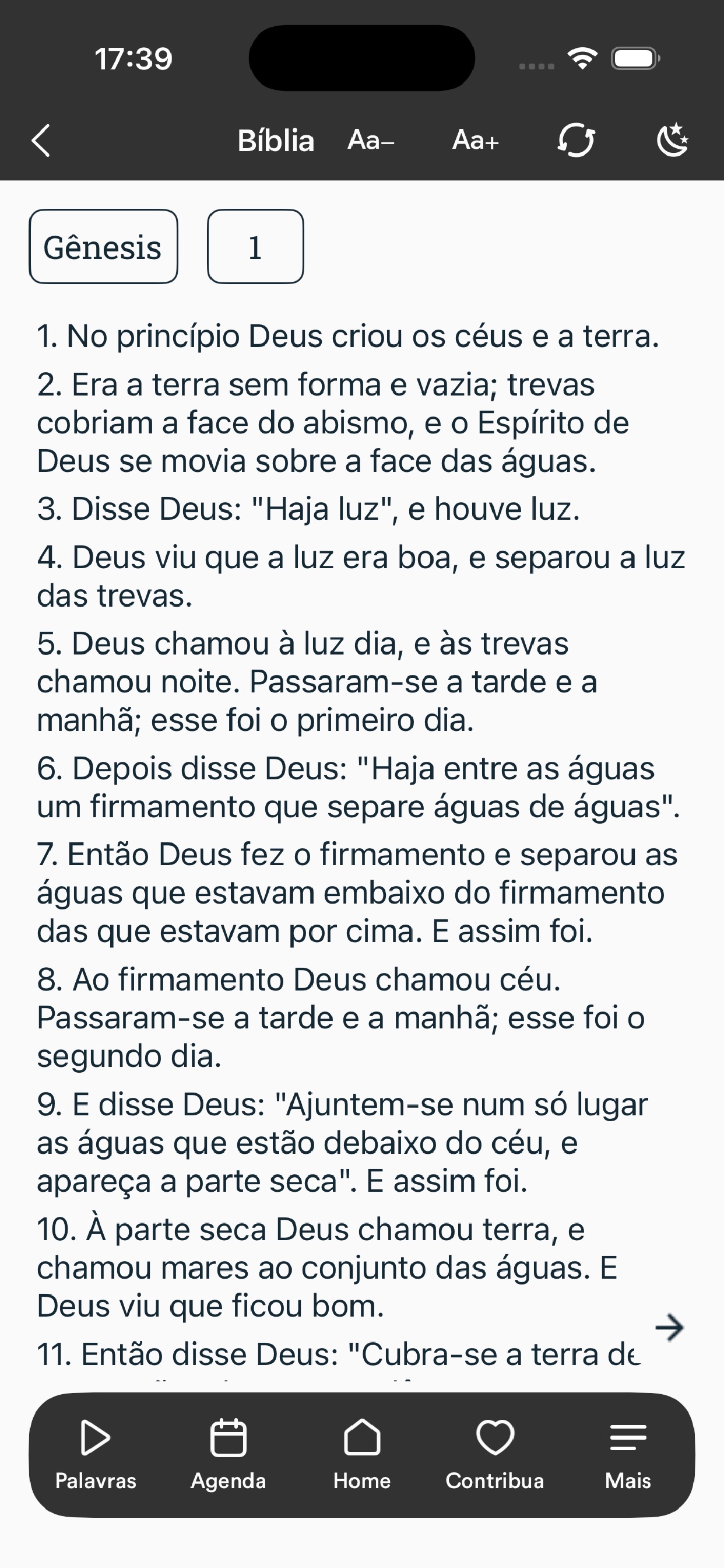 Screenshot 4 of EIRA LAGES