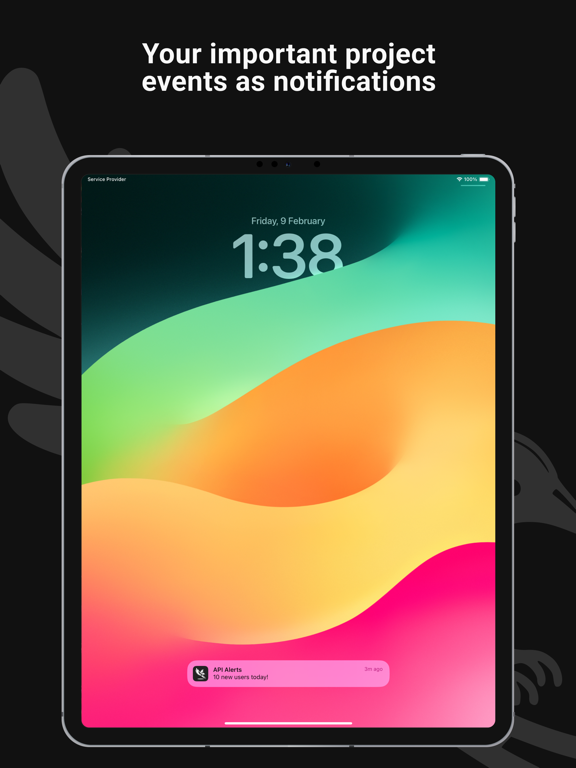 API Alerts iPad screenshot 4 - Business app