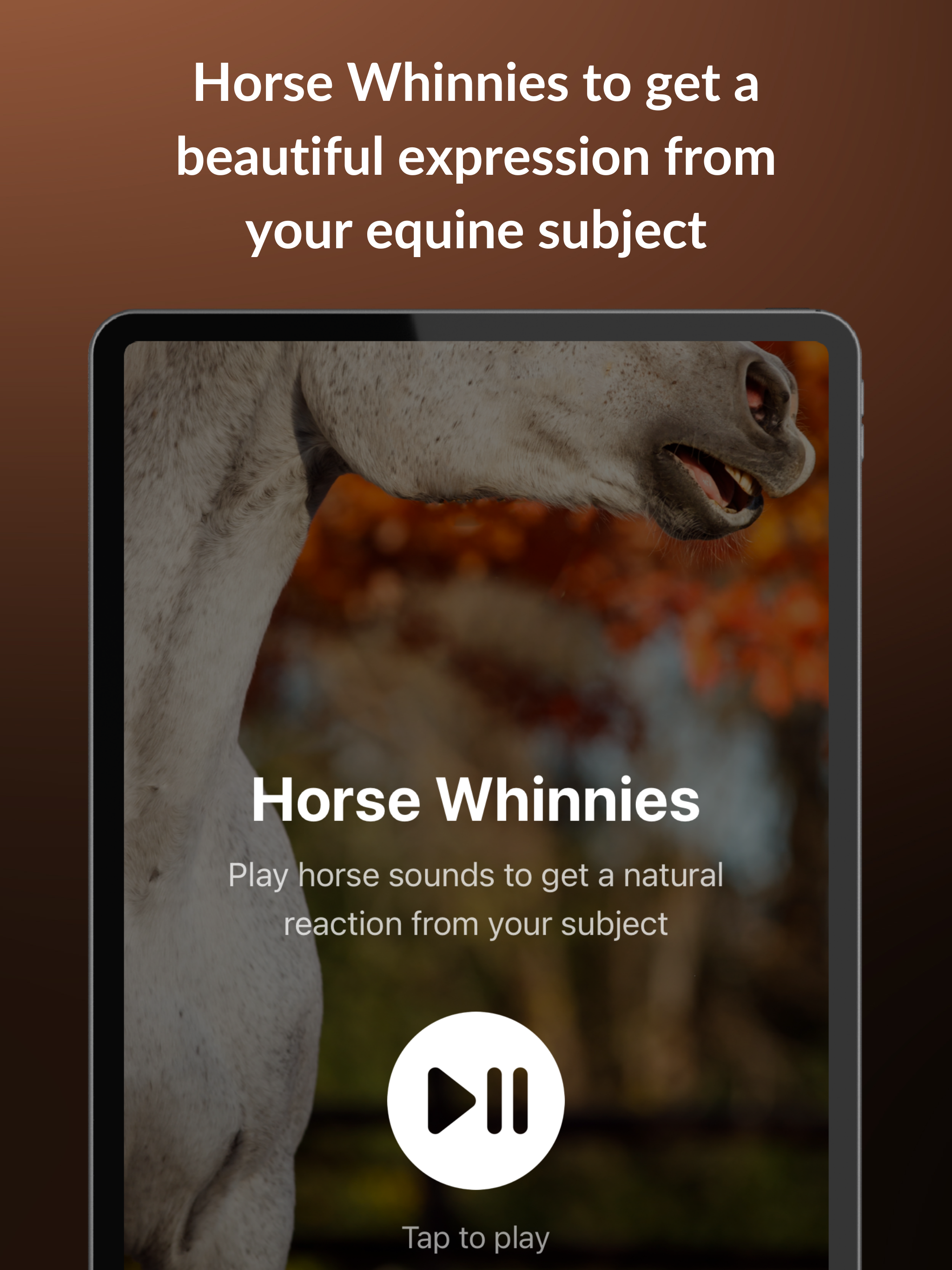 EquiCapture