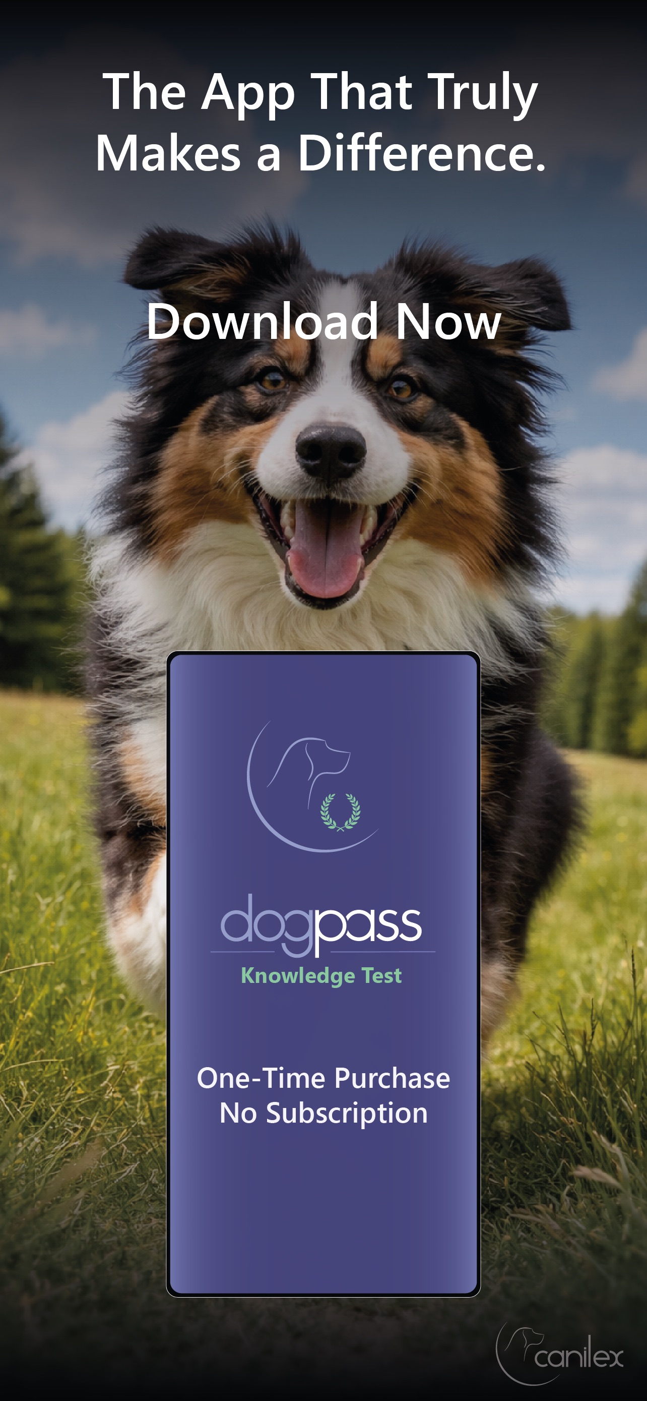 Screenshot 7 of dogpass - Dog Quiz
