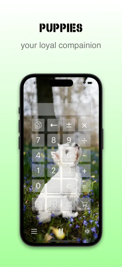 CoreB Experience screenshot 3