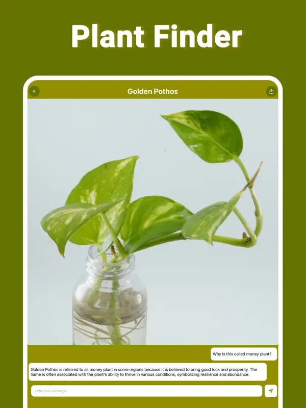 Treelogy screenshot 14