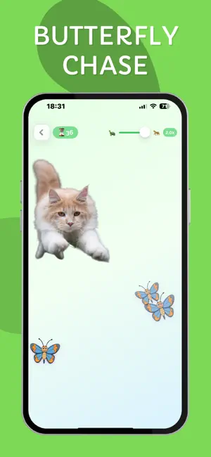Games for Cats & Kittens: iCat screenshot 4